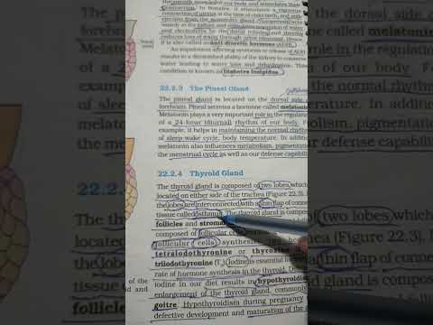both fallopian and thyroid me isthmus structure prasant #ncert #biology #motivation