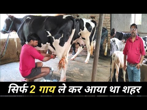सिर्फ दो गाय ले कर आया था शहर | Dairy Farm