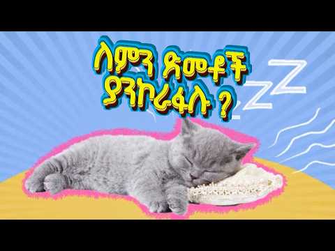 ለምን ይመስላችኋል _ Ye Ethiopia Lijoch TV | አስገራሚ እውነታዎች | Asgerami Ewnetawoch| Amazing Facts/Dinka dink