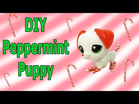 Custom LPS DIY Peppermint Candy Cane Puppy Dog Inspired Littlest Pet Shop Blind Bag Craft - UCelMeixAOTs2OQAAi9wU8-g