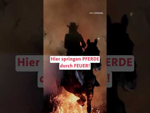 Pferde durch Feuer