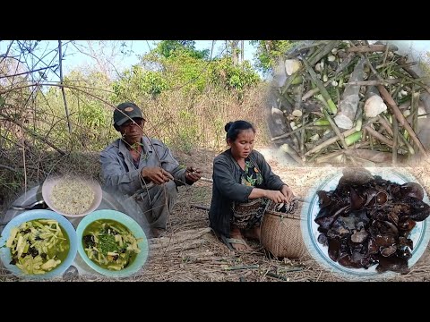 9 มีนาคม ค.ศ. 2026