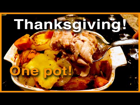 THANKSGIVING🍁 | SUN OVEN ☀️ Test Drive a One Pot Meal | How did it go?