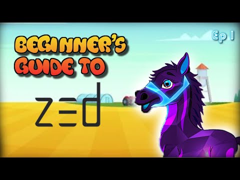 ZED RUN: A BEGINNERS GUIDE ON THE BASICS OF ZED | PT 1