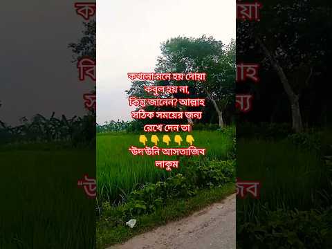 আপনি কি জানেন, যে দোয়া কেউ শোনে না — আল্লাহ সেটাই আগে শোনেন? #দোয়া #ইমান #আল্লাহ #vairalvideo