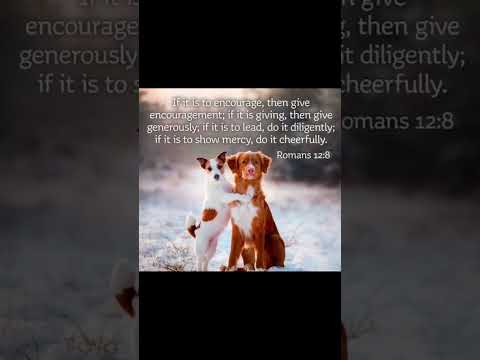 #worshipmusic #music #christianmusic #gospelmusic #love #christiansongs #dailybibleverse #cute #dog