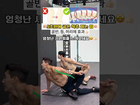 5초 만에 굽은 척추 쫙 펴짐 #스트레칭 #척추운동 #오운완