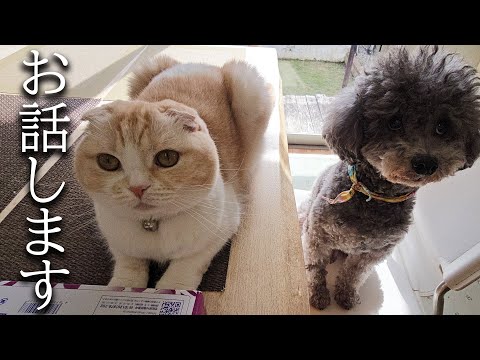 ついにこの日がきました...