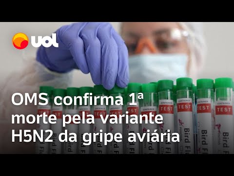 Gripe aviária: OMS confirma primeira morte humana no mundo pela variante H5N2 da gripe aviária