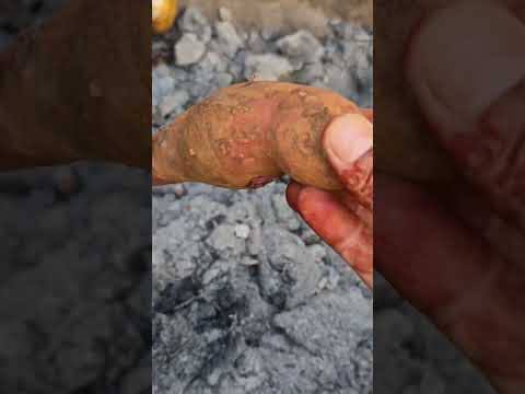 #sweetpotato #शकरकंद #winter #foodshorts #shorts #love #desiswad #algorithm #trending