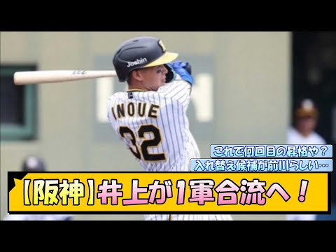 【阪神】井上が1軍合流へ！【なんJ/2ch/5ch/ネット 反応 まとめ/阪神タイガース/岡田監督/井上広大/前川右京】