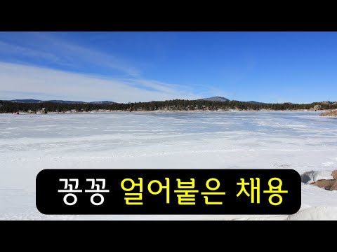 내년에는 나아질까 #개발자