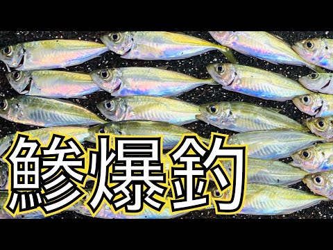 「千葉県」堤防サビキでアジ爆釣。ファミリーフィッシングにオススメの釣り場。釣り初心者へオススメ。鯵はそこにいた！
