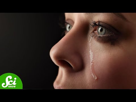 How Crying Manipulates Us