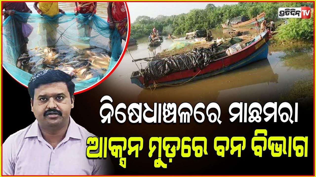 କଇଁଛ ସୁରକ୍ଷା ପାଇଁ ଆଜିଠୁ ୭ ମାସ ସମୁଦ୍ରରେ ମାଛଧରା ବନ୍ଦ |7month fishing ban protect Olive Ridley turtles