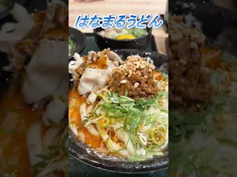 【おしどり夫婦の祝活日記ショート動画  #284 】  #shorts　はなまるうどんに行って来ました！　応援して下さいね！　チャンネル登録などもよろしくお願いします！　#はなまるうどん