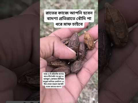 #plantsofindia #plants #shortvideo#gardenplants #garden การตอนมะละกอ โดยไม่ใช้ดิน ไม่ใช้ แกลบ.
