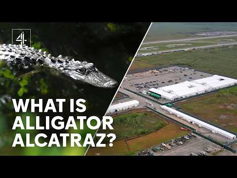 Alligator Alcatraz: the US detention centre in the heart of the Everglades