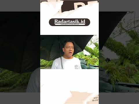 Lagi, Cuaca Ekstrem Melanda Kota Tasikmalaya: Pohon Tumbang Berjamaah Tutup Jalan dan Timpa Mobil