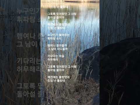 #진정 난 몰랐네   #송창식  #원곡:김상희  #그토록 믿어왔던 그 사람 돌아설 줄이야.....    #진정 난 몰랐네