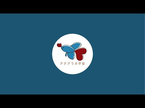 タイから仕入れ反省会ライブ配信中！