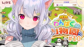 🎮【探検わんぱく動物園】ネココ園…いいやつだった ₍ᐢ- ̫-ᐢ₎っ🐼!!【はるさめ ねここ/Vtuber】