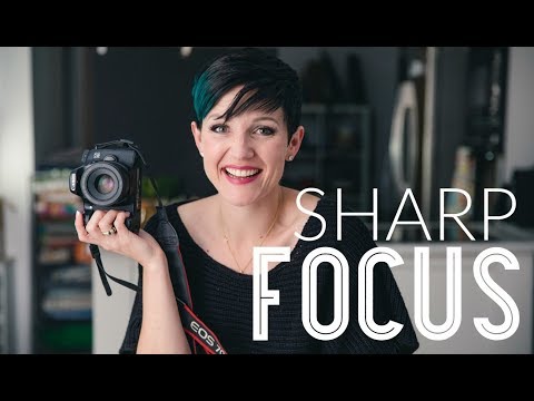 Getting Sharp Focus for Food Photography - UCsM3clfP0vfMFlnf2tde41A