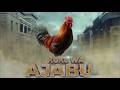 KUKU  WA AJABU 22