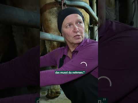 Wo die Liebe hinfällt  #unserland #shorts #liebe  #landliebe #landwirtschaft  #landleben  #bauern