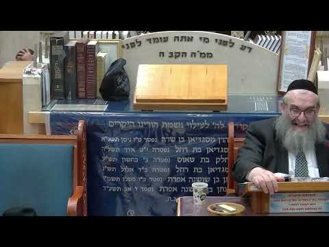 הרב יהושע ויזגן מסכת חולין דף לז עמוד א'