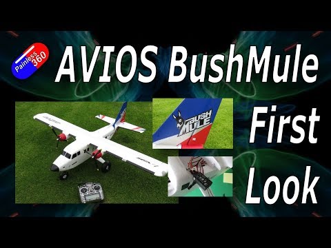 First Look - AVIOS Bush Mule - UCp1vASX-fg959vRc1xowqpw