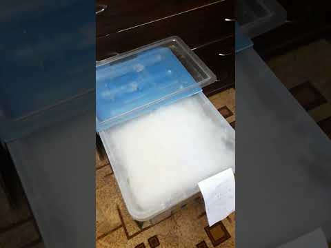 Расчесываю шерсть собак.И такое у меня в системе.