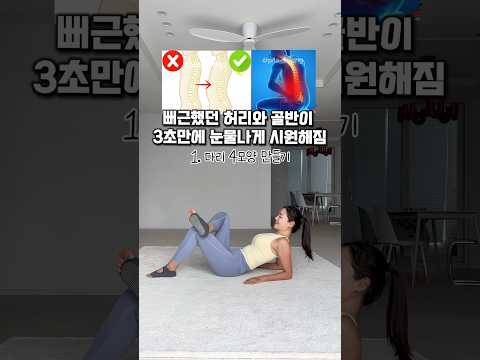 3초만에 눈물나게 시원해진다는 극락스트레칭 #흥둥이홈트 #흥둥이 #스트레칭