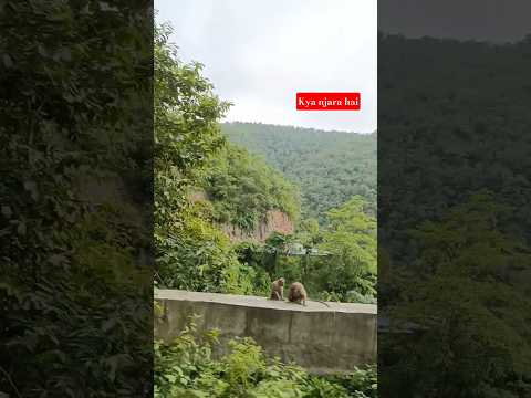 diwana hu in adawo ka #draivingvedio #travel #trending