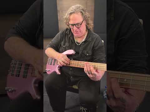 Stu Hamm | Hamm's Jams Episode 04 #germanbass #warwickbass #thesoundofwood