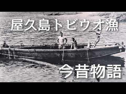 【繁栄と衰退】 島中お祭り騒ぎだった頃の話