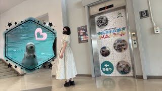 鳥羽水族館のエレベーター🛗全箇所まとめ🛗チンベル🔔ラッコの「メイ」「キラ」🦦🦦ジュゴン🦭