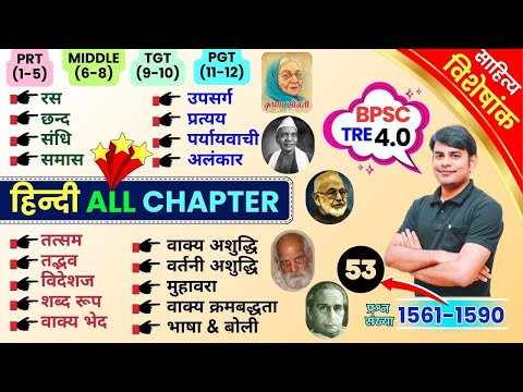 53. Hindi Grammar Master Video | सम्पूर्ण Hindi All Chapter MCQ | BPSC TRE 4.0 | Nitin Sir STUDY91