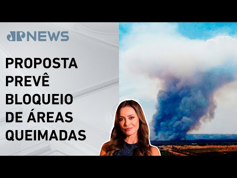 Governo quer decreto contra grilagem de terra queimada; Patrícia Costa explica