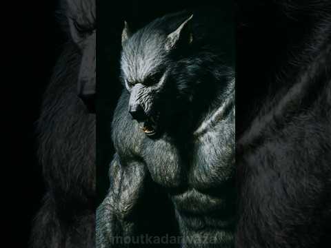 🐺F 🌙 Howl2|#wolfsounds #relaxinwolf #wolfsong#wolf #scary#ai#aivideoshorts#shorts#shortsfeed#animals