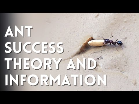 Ant Success Theory | चींटी की यह बात आप नहीं जानते | चींटी की सारी जानकारी | Power Study | #AntPower