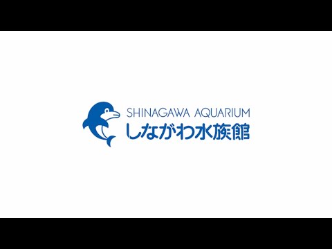 嬉しいお知らせ＠しながわ水族館