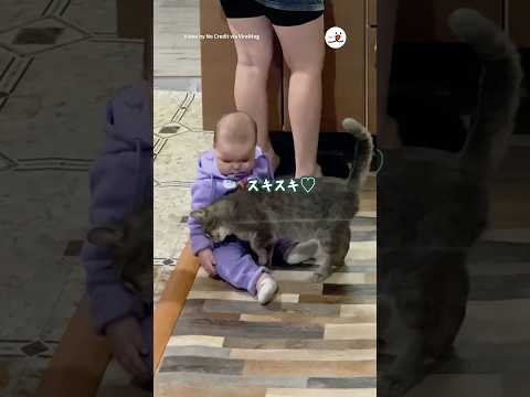 猫の動画サムネイル - 赤ちゃんの泣き声に秒で駆けつける猫様｜PECO