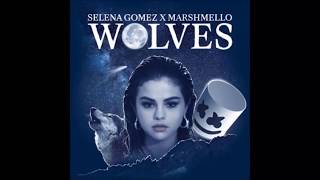 Wolves - Selena Gomez (Lyrics)
