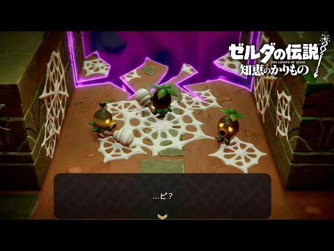 理不尽すぎる【ゼルダの伝説 知恵のかりもの】#14