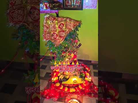 तुलसी विवाह की हार्दिक शुभकामनाएं🙏#bhakti #vrindavan #radharani #radheshyaam #shorts #ytshorts