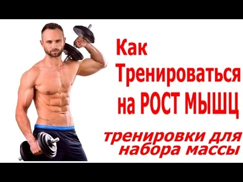 Как Тренироваться На РОСТ МЫШЦ. Тренировки на Массонабор - UCW_I5a7gOr62gDLapMCAbpw