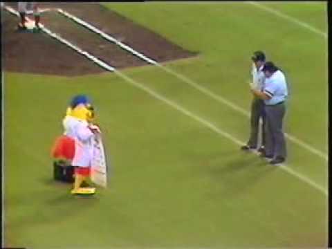San Diego Chicken at Metrodome April 1982 video clip 