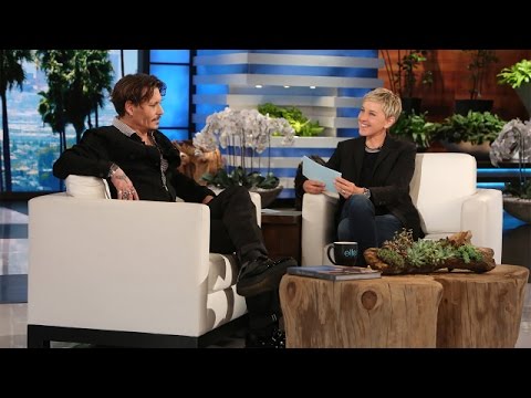 Ellen Puts Johnny Depp in the Hot Seat - UCp0hYYBW6IMayGgR-WeoCvQ