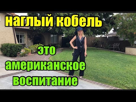 САН ДИЕГО.НА НАС НАПАЛА СОБАКА-БЕГЕМОТ С Airbnb.МЫ ОТБИВАЛИСЬ.НОВАЯ МАШИНА.СЛОМАННАЯ НОГАНЕКОСТЫЛИ - UCFQkyR90tP3FCmC88Yd-0fg